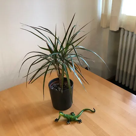 Mittenwald-ferien Mittenwald