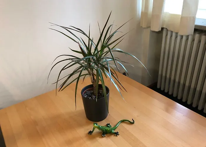 Mittenwald-ferien Mittenwald